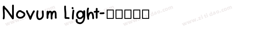 Novum Light字体转换
